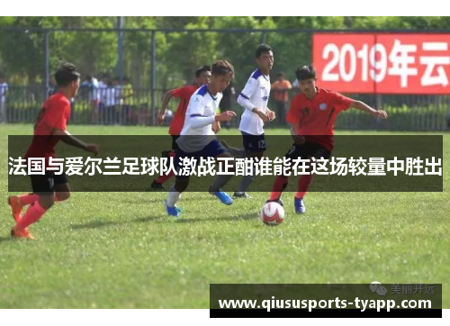 法国与爱尔兰足球队激战正酣谁能在这场较量中胜出